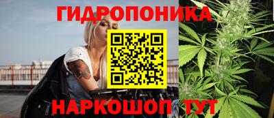 ГАЛЛЮЦИНОГЕННЫЕ ГРИБЫ Бузулук